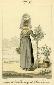 Ilustración nº 33, Traje de Bois d