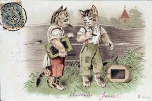Ilustración de gatos en situación - postal de principios del siglo XX