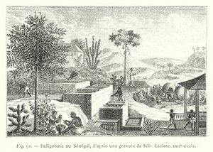 Indigotería en Senegal, según un grabado de Seb, Leclerc, siglo XVII de French School