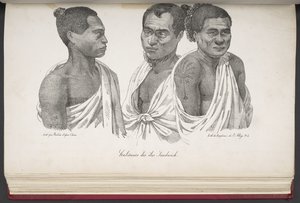 Habitantes de las islas Sandwich, de Pintoresco viaje alrededor del mundo, con retratos de salvajes de América, Asia, África y las islas del Gran Océano; paisajes, vistas al mar y varios objetos de historia natural; acompañado de French School