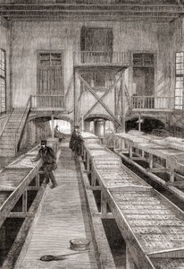 Interior de una piscifactoría del siglo XIX en Huningue, Francia, de Les Merveilles de la Science, publicado c.1870 (grabado) de French School