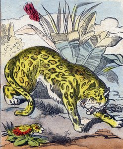 Jaguar. Grabado en "Buffon Alphabet des Animaux". 3ª Serie N 1. Imágenes de Epinal, Epinal, finales del siglo XIX. 16 páginas. de French School