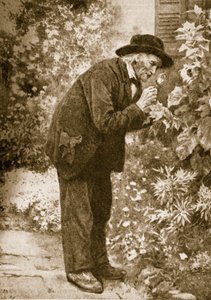 Jean-Henri Fabre observando insectos