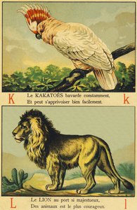 K como Cacatúas y L como León de French School
