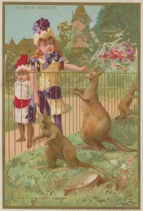 Canguros en un zoológico de French School