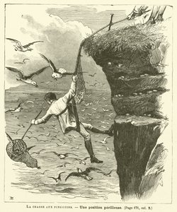 La caza de pingüinos de French School
