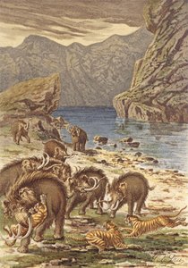 Francia antes del hombre, mamuts y gatos gigantes (litografía en color) de French School