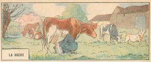 La Vaca de French School