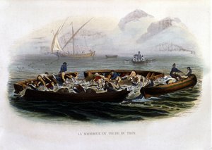 La madrague o pesca de atún - en "Histoire naturelle de Lacépède" de French School