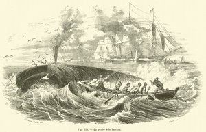 La pesca de ballenas de French School