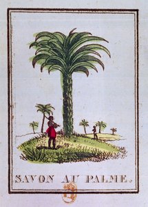 Etiqueta para un jabón perfumado con aceite de palma, que representa una palmera de French School