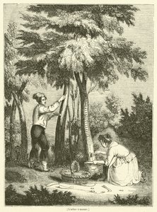 El árbol de maná (grabado) de French School