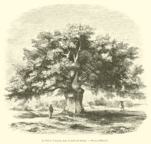 El roble de Antein, en el bosque de Senart de French School