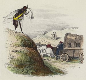 El coche y la mosca