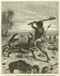 El cangrejo ladrón de French School