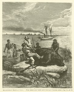 El Teniente Harou en el Congo (grabado) de French School