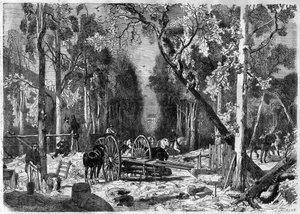 El leñador en el jardín de Luxemburgo en París en 1870 - Grabado de 1870 de French School