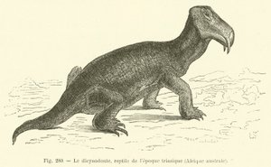 El dicinodonte, reptil de la época triásica, África austral de French School