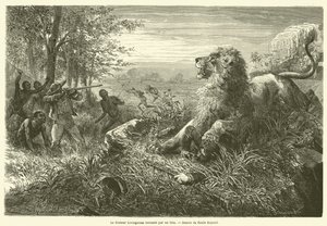 El doctor Livingstone derribado por un león de French School
