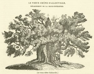 El viejo roble de Allouville de French School
