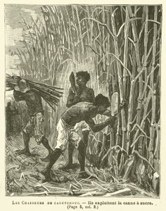 Los cazadores de caucho de French School
