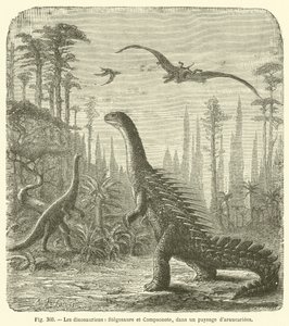Los dinosaurios, Stegosaurio y Compsonote, en un paisaje de araucarias de French School