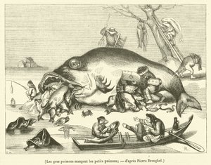 Los peces grandes se comen a los pequeños (engorde)