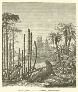 Los laberintodontes, mastodontosaurios de French School