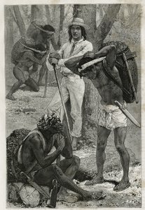 Los porteadores (caucheros) en Darién (región del este de Panamá), grabado después de un dibujo de D. Maillart, para ilustrar la historia Exploración en el istmo de Panamá y Darién, por A. Reclus, teniente de navío, de 1876 a 1878, publicado en la tour du  de French School