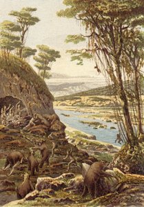 Las primeras edades de la humanidad, la edad del oso cavernario (litografía en color) de French School