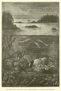 Los principales habitantes de la tierra durante el período devónico de French School