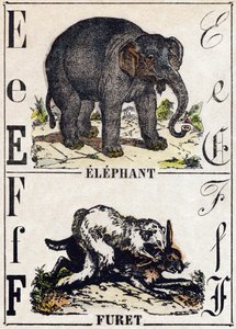 Letra E Elefante; F Hurón. Grabado en “Alfabeto de animales salvajes”. 9ª Serie. Imágenes de Epinal, Pellerin, impresor-editor, circa 1870. Colección privada. de French School