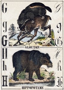 Letra G Glotón; H Hipopótamo. Grabado en "Alfabeto de animales salvajes". 9ª Serie. Imágenes de Epinal, Pellerin, impresor-editor, circa 1870. Grabados en madera, estarcidos. 16 páginas. Dim: 20 x 15 cm. Colección privada