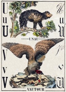Letra U Unau (perezoso); V Buitre. Grabado en "Alfabeto de los animales salvajes". 9ª Serie. Imágenes de Epinal, Pellerin, impresor-editor, circa 1870. Grabados en madera, estarcidos. 16 páginas. Dim: 20 x 15 cm. Colección privada de French School