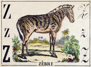 Letra Z Cebra. Grabado en "Alfabeto de animales salvajes". 9ª Serie. Imágenes de Epinal, Pellerin, impresor-editor, circa 1870. Grabados en madera, estarcidos. 16 páginas. Dim: 20 x 15 cm. Colección privada de French School