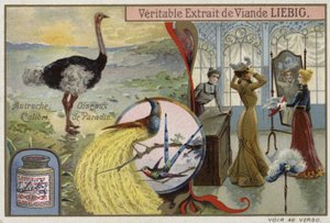 Tarjeta Liebig con imágenes de aves