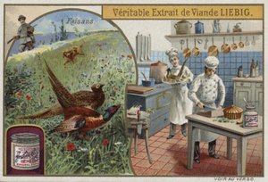 Tarjeta Liebig con faisanes de French School