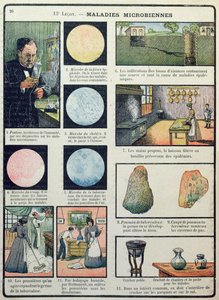 Louis Pasteur y enfermedades bacterianas, de Les Sciences Physiques et Naturelles, París, 1908 de French School