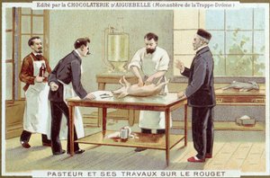Louis Pasteur (1822-95) trabajando en la investigación del sarampión, tarjeta publicitaria para la Chocolaterie d