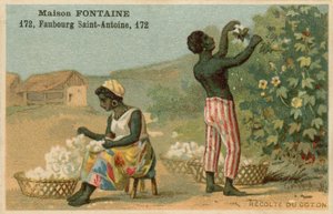 Tarjeta comercial de Maison Fontaine, cosecha de algodón de French School