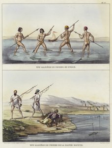 Métodos de pesca en Nubia y Egipto