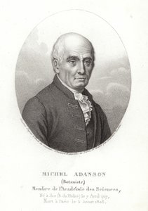 Michel Adanson de French School