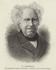 Michel Eugène Chevreul de French School