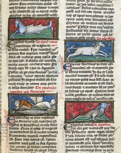Ms 320 Fol.115r Monstruos marinos, de 