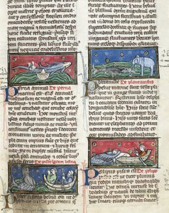 Ms 320 Fol.116 Monstruos marinos, de 