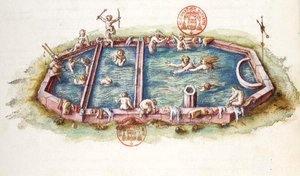 Ms 3243 Los baños de Nerys en Neris-les-Bains, ilustración de 