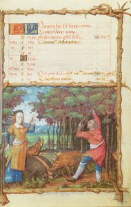 Ms 438 El mes de noviembre: recogiendo bellotas, de un Libro de Horas, 1490 de French School