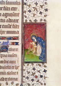 Ms 62, f.205r: Virgen y Niño, (detalle) de un Libro de Horas francés, c.1445-50