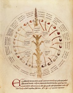 Ms Lat 11229 fol.19r Tabla para análisis de orina, de Petit Traite d