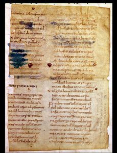 Inventario de la propiedad carolingia, del Políptico del Abad Irminon de Saint-Germain-des-Prés